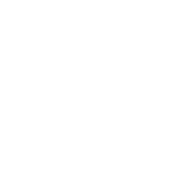 Chess knight icon