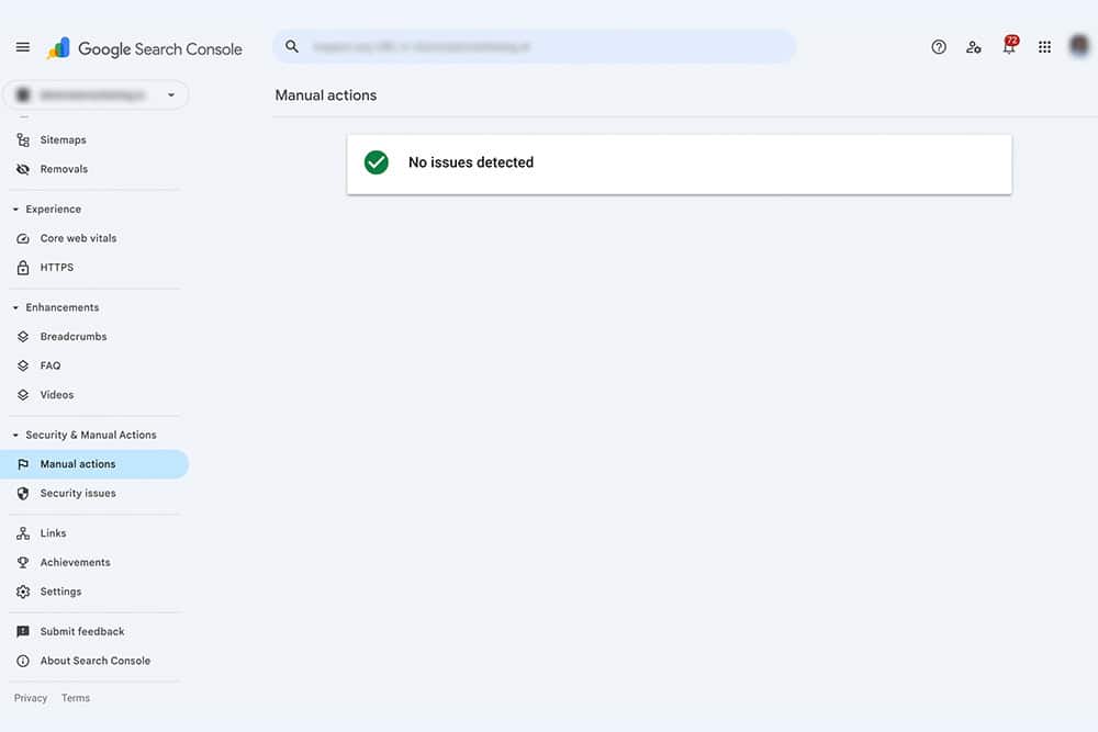 Google Search Console showing no manual action penalty
